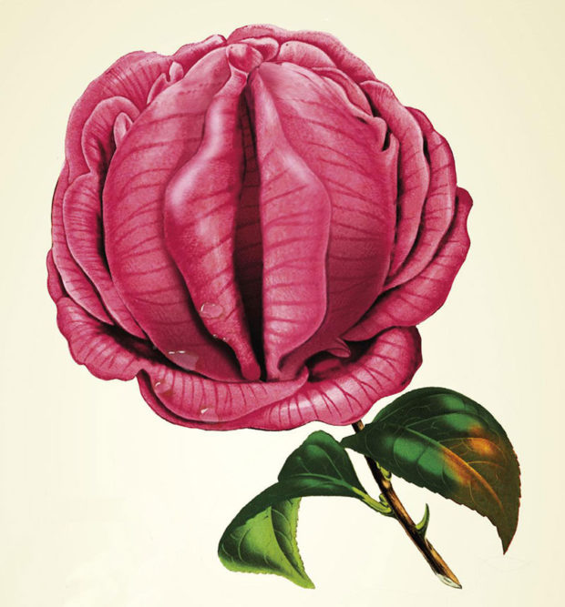 Bloedrozen